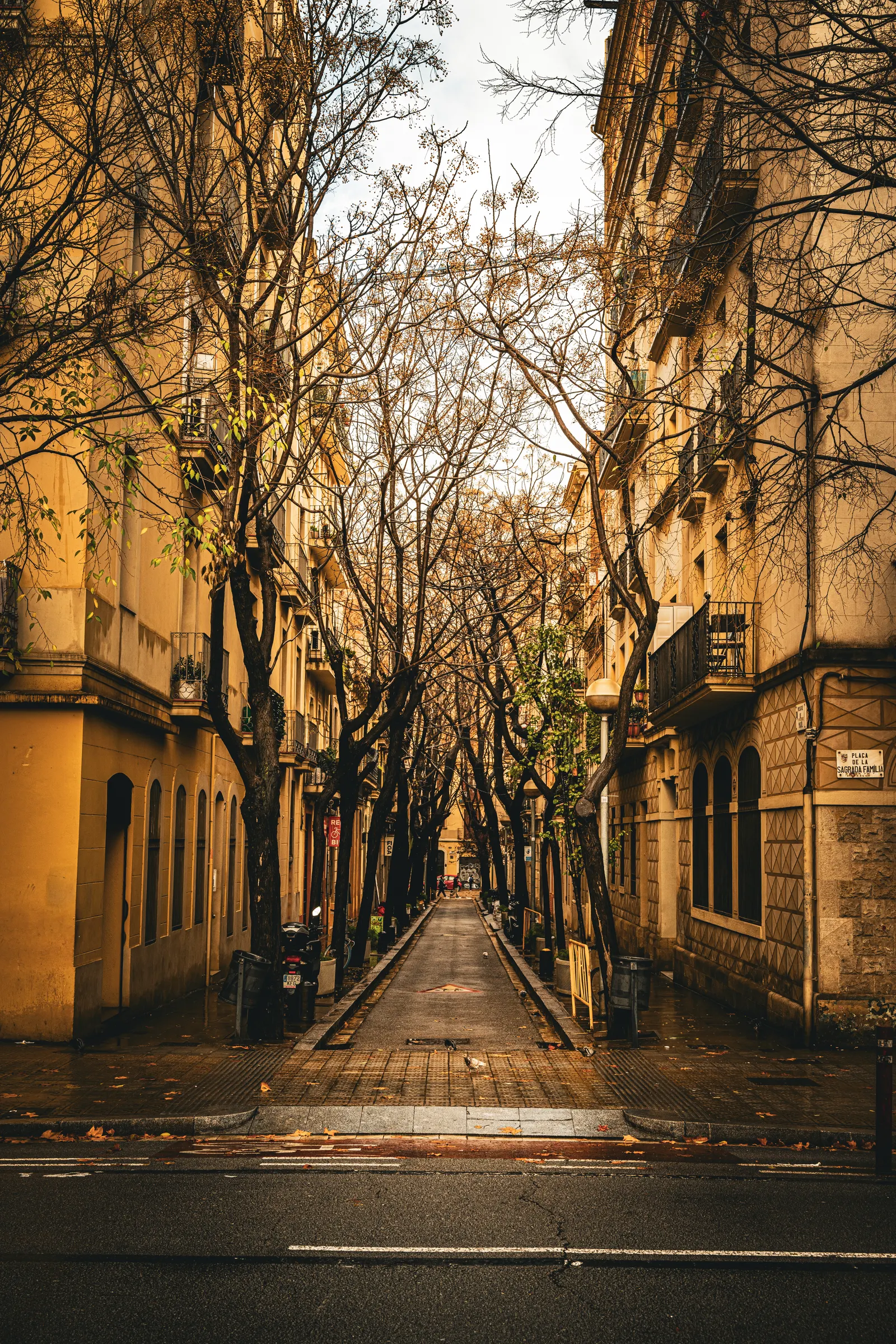 A narrow lamp-lit street in Barcelona's Gothic Quarter at night