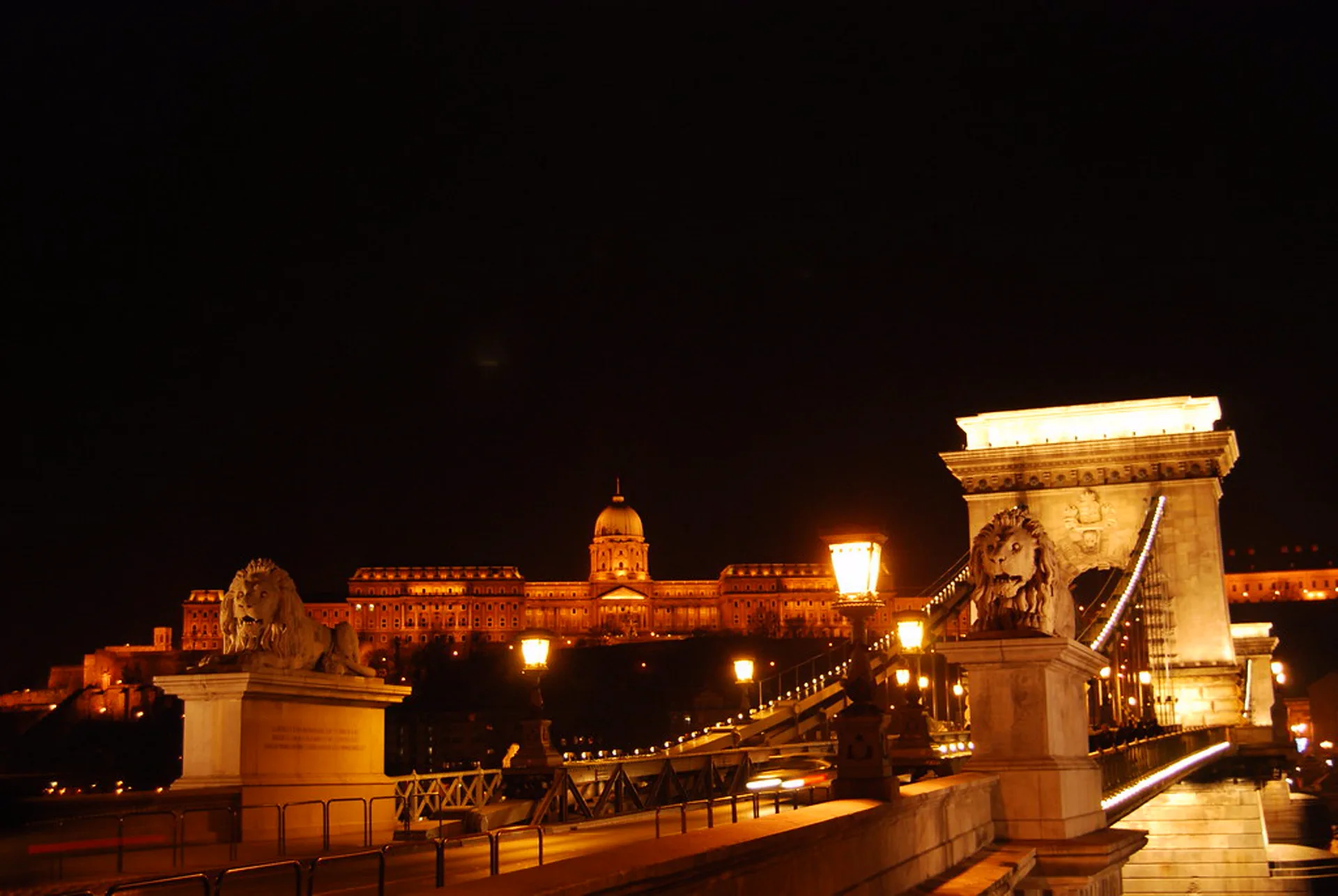 Chain Bridge lions facing Buda Castle at night