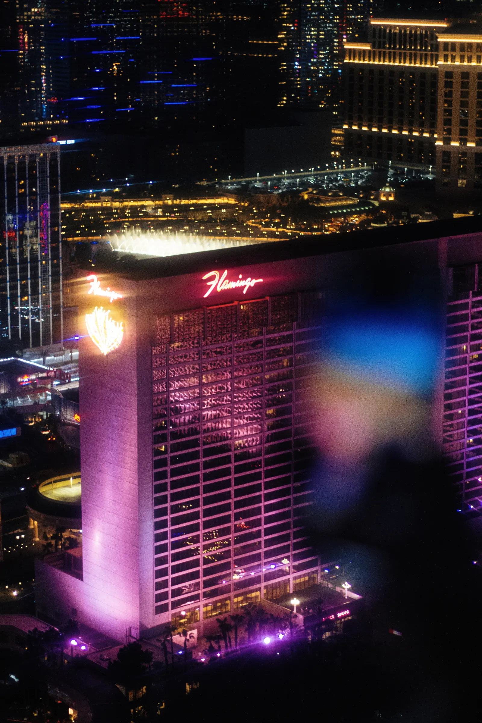 Las Vegas After Dark: Night Tours & Experiences at night