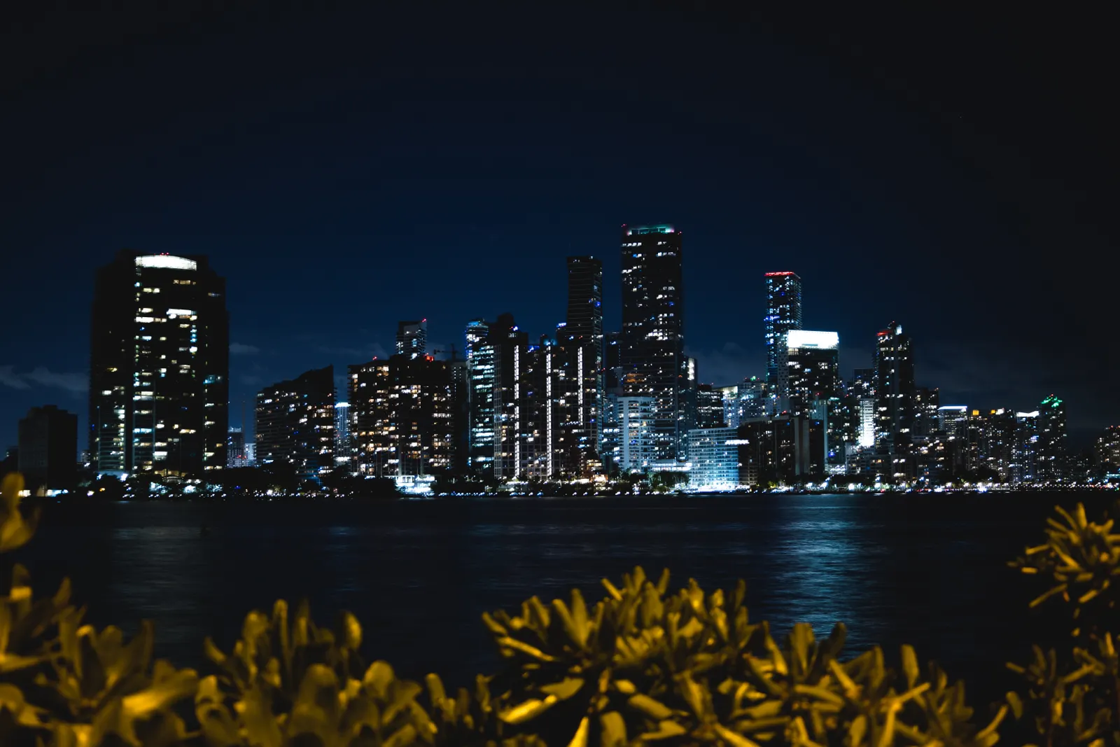 Miami Adults-Only Night Party Cruise
