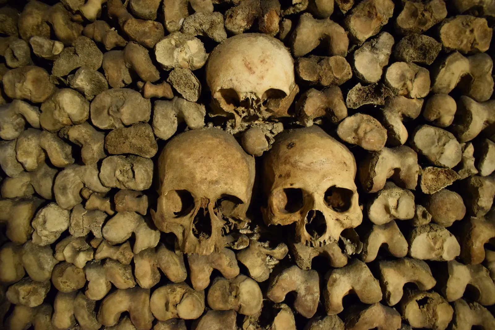 Paris Catacombs Special Access Night Tour