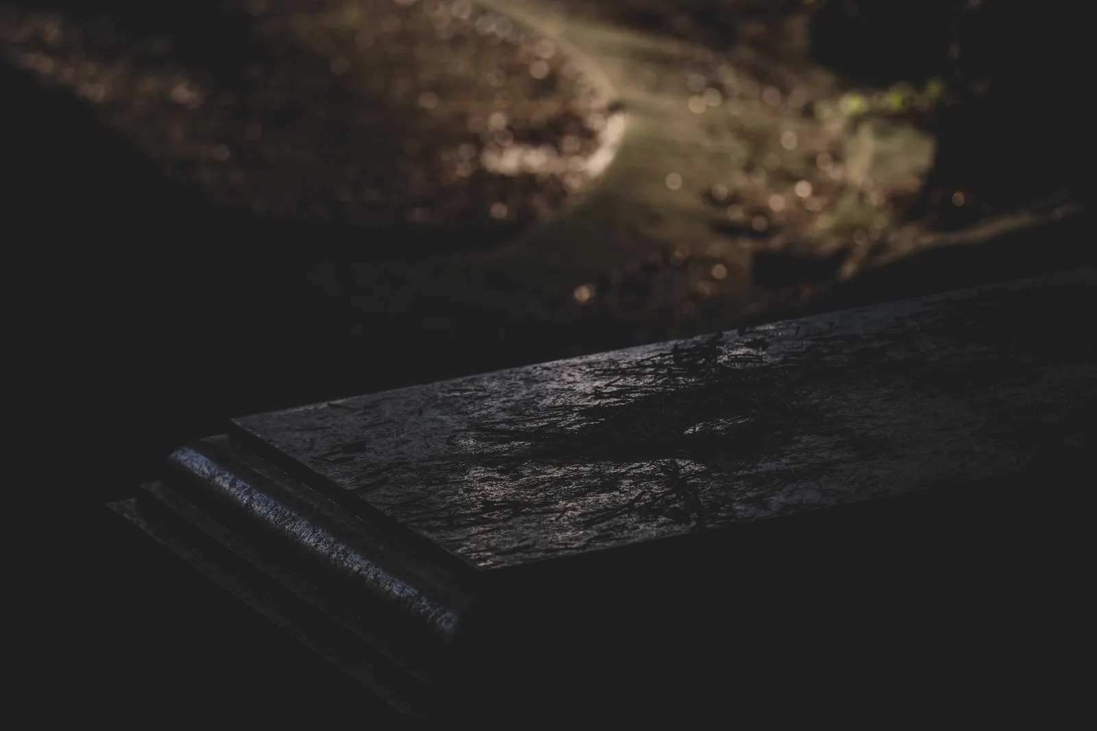 Pere Lachaise Cemetery Ghost Walk by Lantern — photo 2